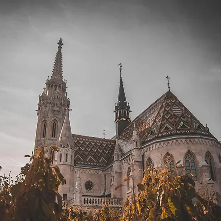 Scenic By Buda Castle * Budapest