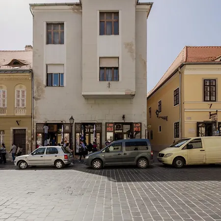 Scenic By Buda Castle *